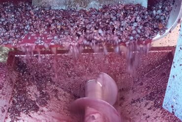 CONTE WINE & MAKER
